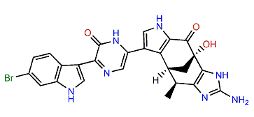 Dragmacidin F